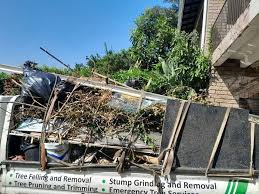 Best Electronics and E-Waste Disposal  in Rosenhayn, NJ